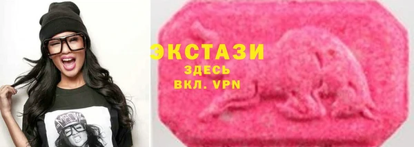 твердый Вяземский