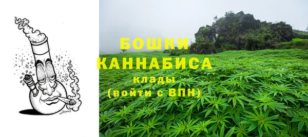 гидропоника Горнозаводск