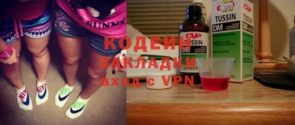 твердый Вяземский