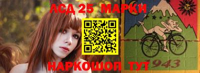 гидропоника Кингисепп