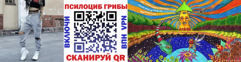 закладка  Вязники  Галлюциногенные грибы мицелий 