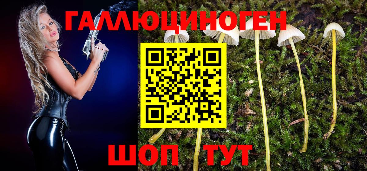Псилоцибиновые грибы прущие грибы Вязники