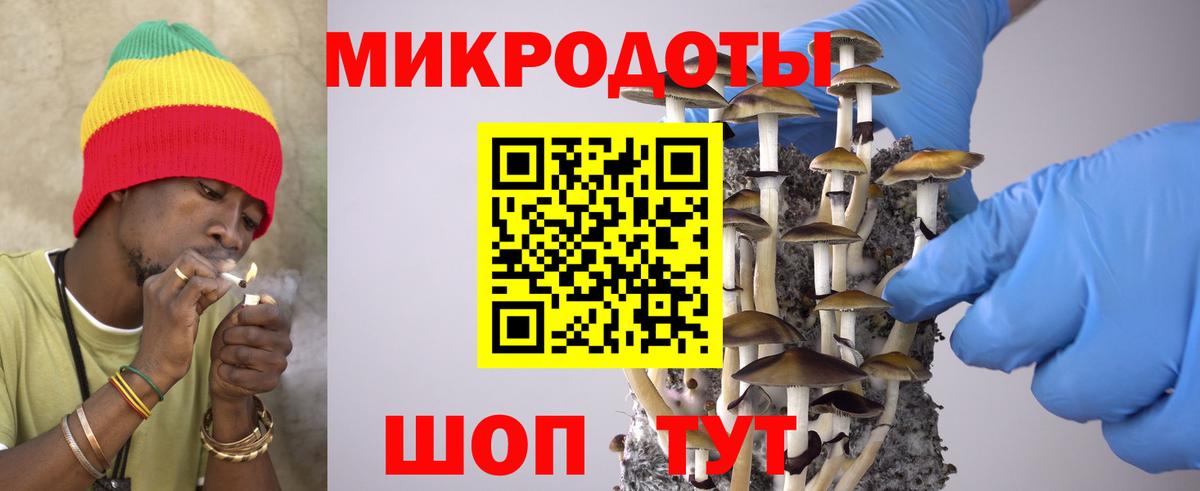 Вязники  Псилоцибиновые грибы Cubensis  Вход с VPN 