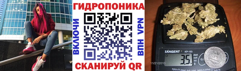 Каннабис VHQ  где купить   Вязники 